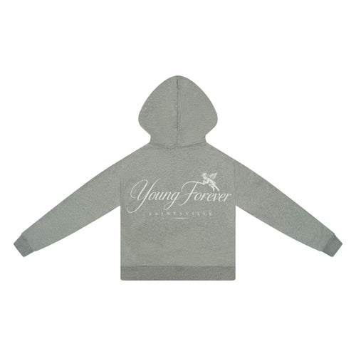 SAINTSVILLE HOODIE - ASH VILLE