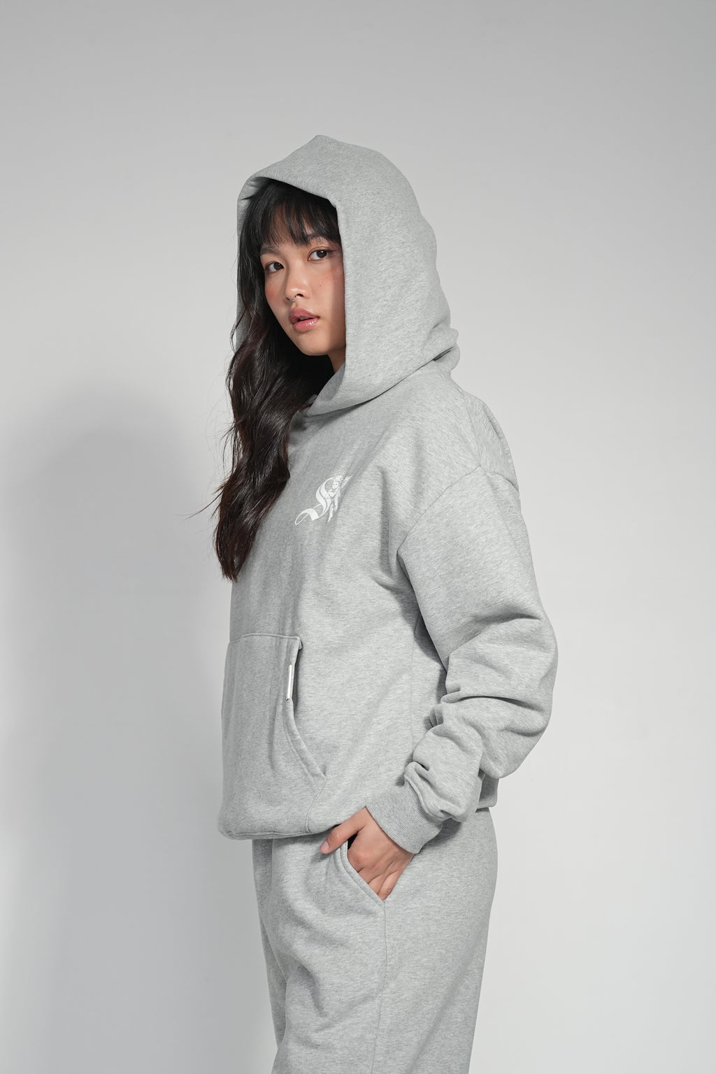 SAINTSVILLE HOODIE - ASH VILLE