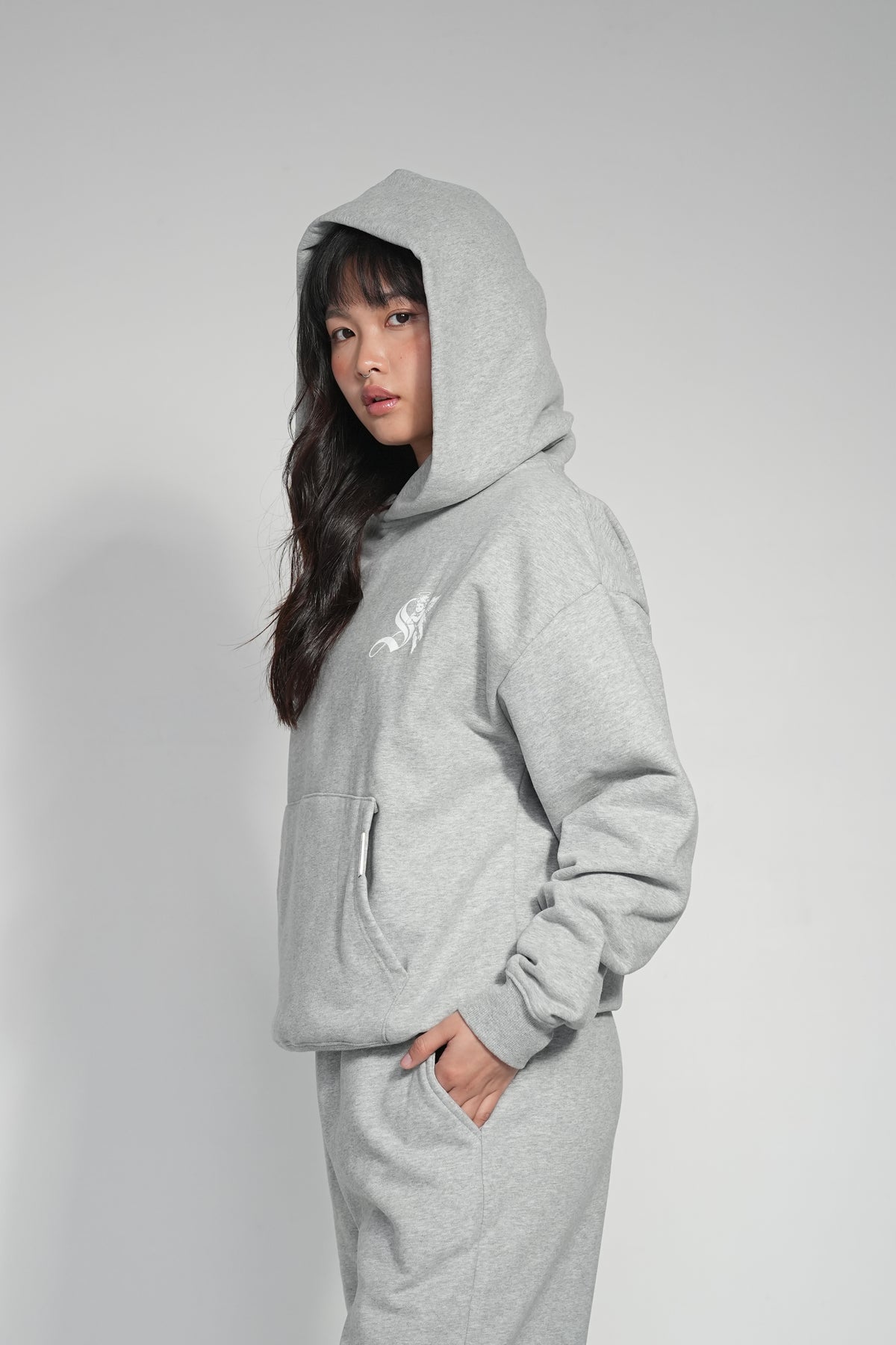 SAINTSVILLE HOODIE - ASH VILLE